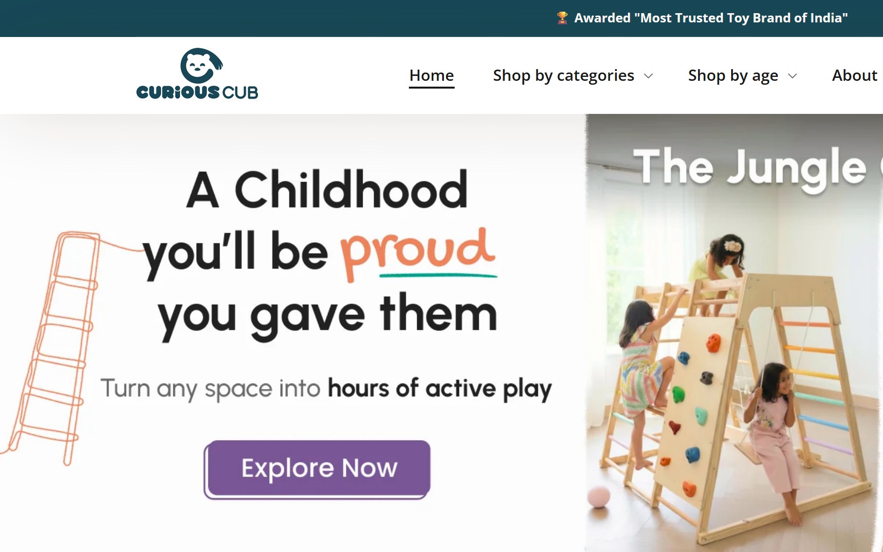 Screenshot of the Curious Cub storefront